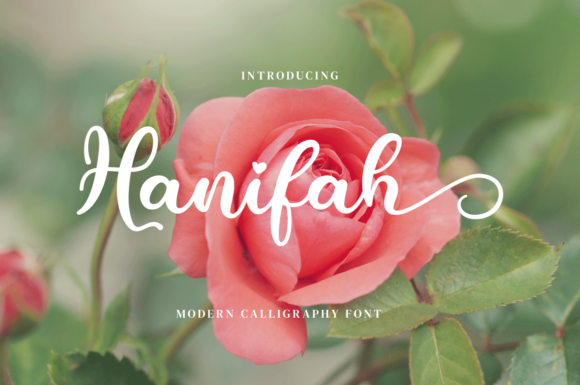 Discover Hanifah: A Versatile Script Font for Creative Projects
